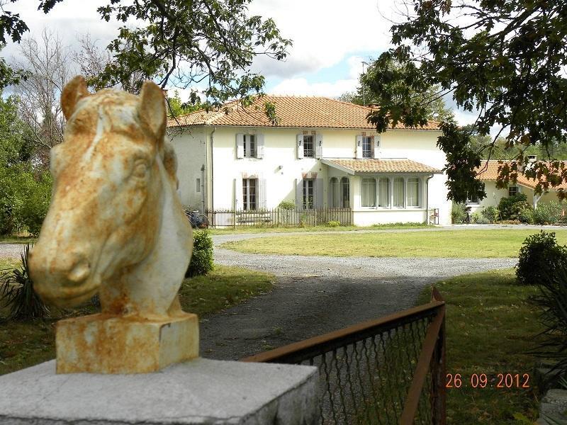 Hotel Domaine De L'Escuderia Parentis-en-Born Exterior foto
